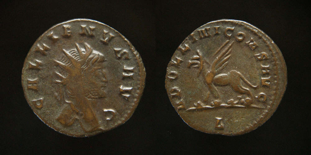 Lf-#6-&-#7--Gallienus-Zoo