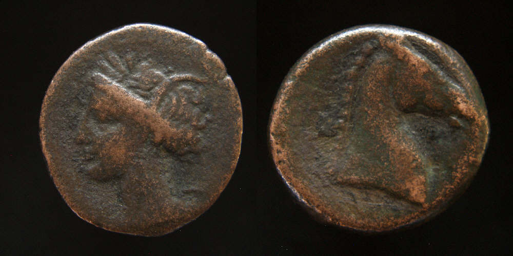 Tanit-/-Head--Of-Horse