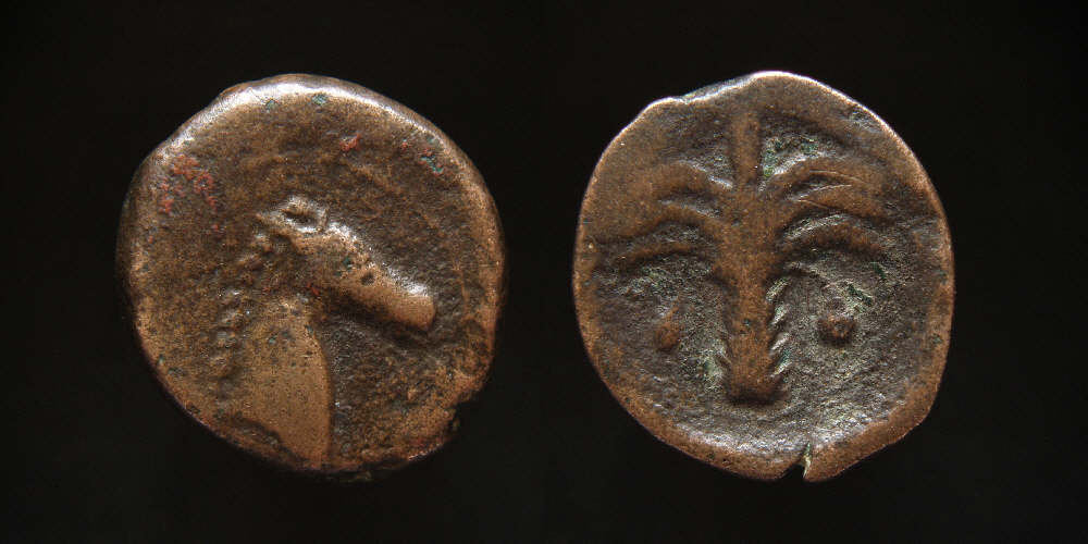 My-Latest--Carthage