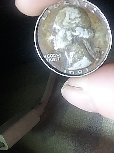 1981-D-US-Quarter-Error?