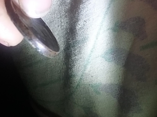 1981-D-US-Quarter-Error?