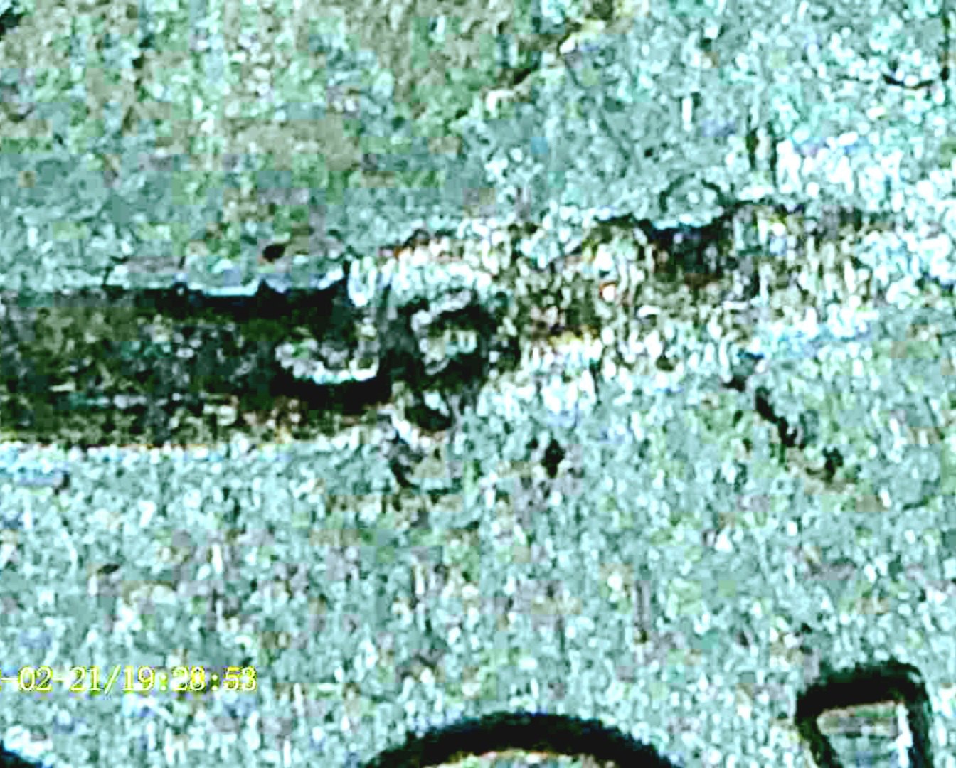 Another-2013-P-MD-ATB-WDDR-014