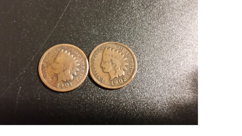 1901-Indian-Head-Cent-Back-Side-Is-Silver