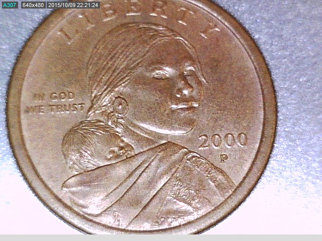 Brown-2000-P-Saca-1$-Coin.-Experimental-Rinse-Or-?