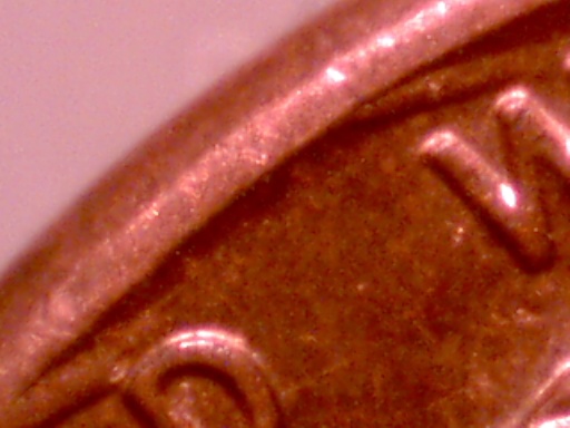 Feeder-Finger--Damage-Or-What?