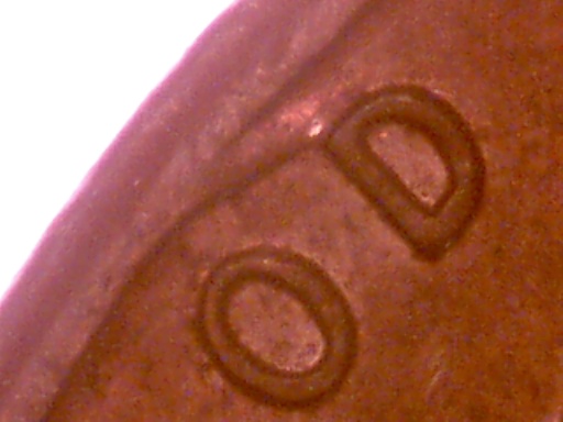 Feeder-Finger--Damage-Or-What?