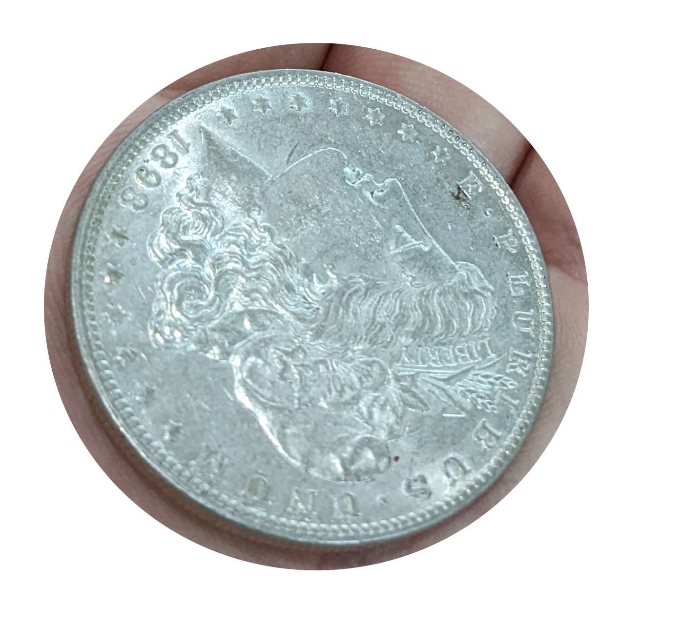 Newbie-Trying-To-Figure-Out-If-1898-Morgan-Dollar-Is-Cleaned