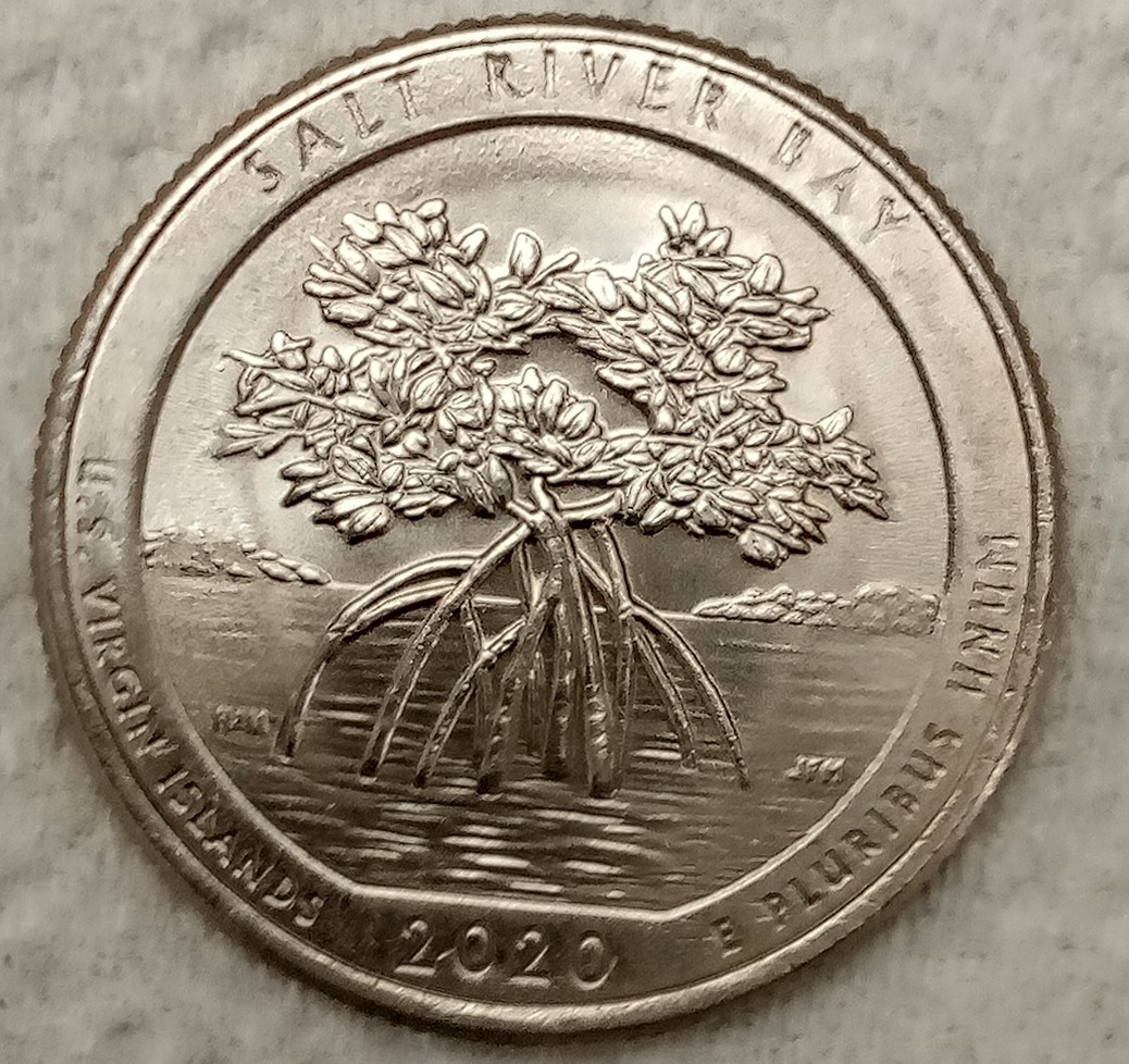 Found-This-2020-Virgin-Islands