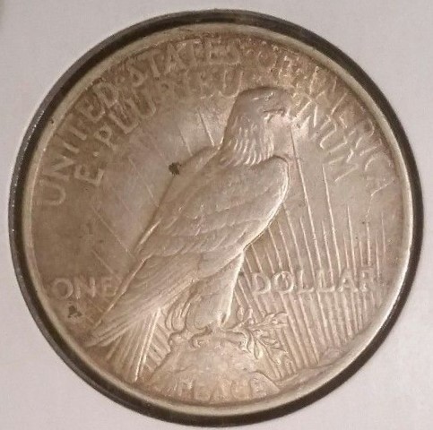 Seated-Liberty-Dollar----Does-This-Look-Real?