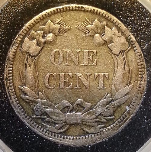 Looking-For-Thoughts-On-1858-Flying-Eagle-Cent