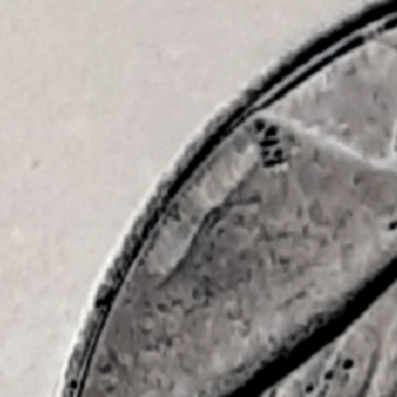 Is-This-A-Lamination-Error-On-The-Obverse-Of-My-2013-D-Nickel?