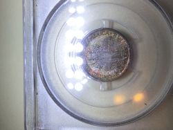 Toned-Mercury-Dimes;-My-Collection-And-Yours