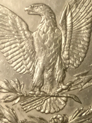 Coin-1,-1878-8TF,-Which-VAM