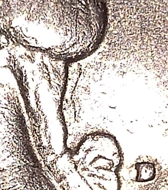 1982---D-Washington-Quarter-Doubling?