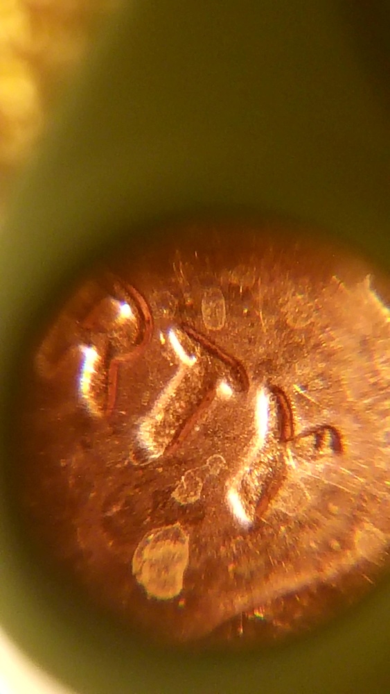 2011-Cent-Doubled-Die?