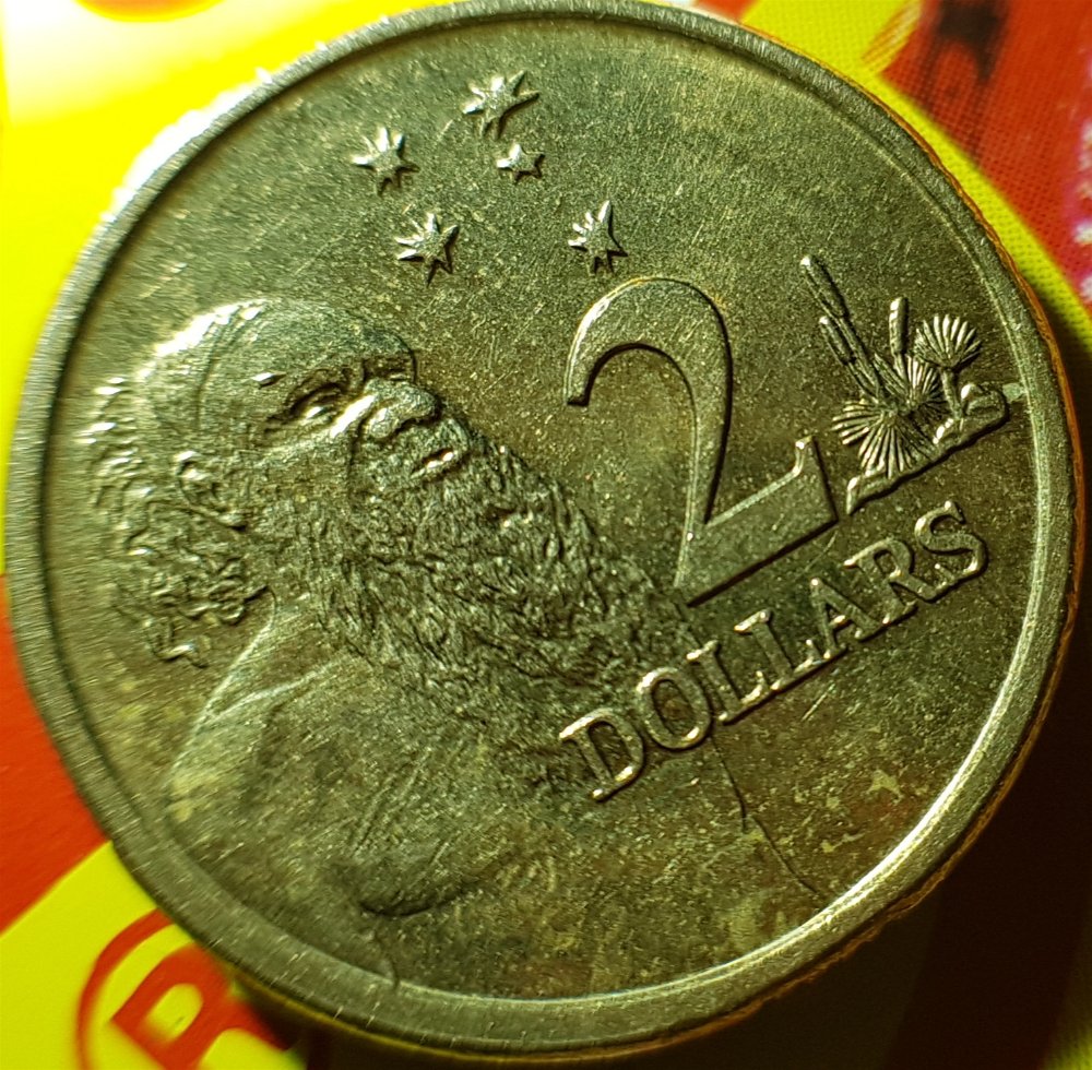 2014-$2-Error-Coin-Above-Left-Eye-First-Nations-Side.