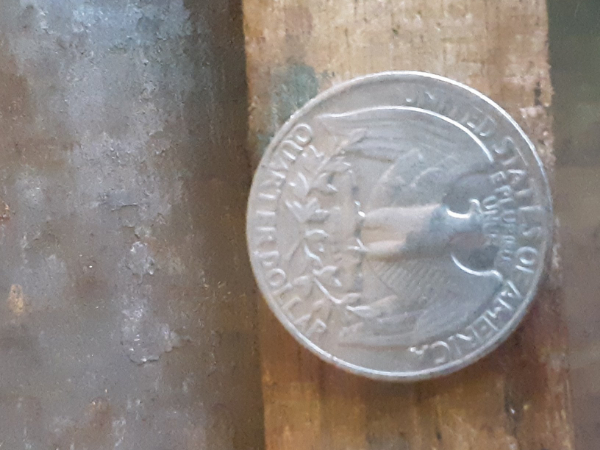 1983-Quarters-Cud?-And-Groove-In-Neck?