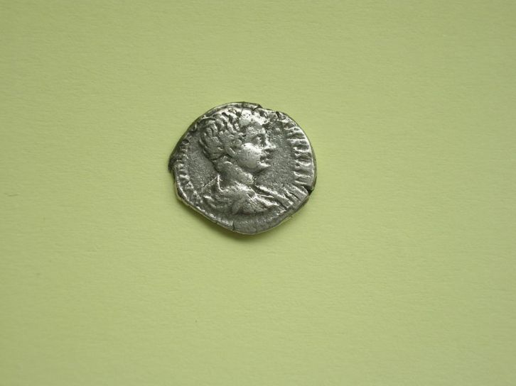 New-Coins