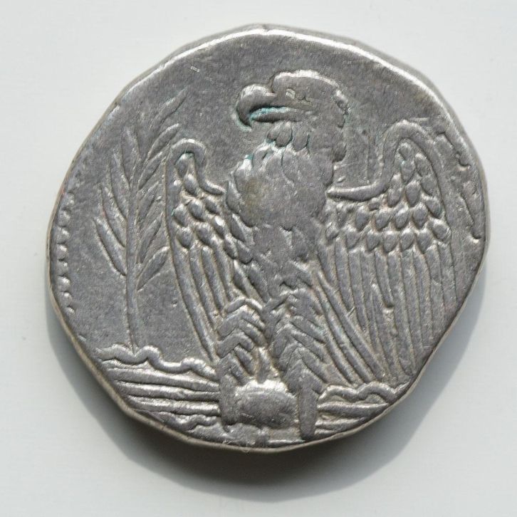 Nice-Nero-Coin-For-Sale---Need-Some-Advice
