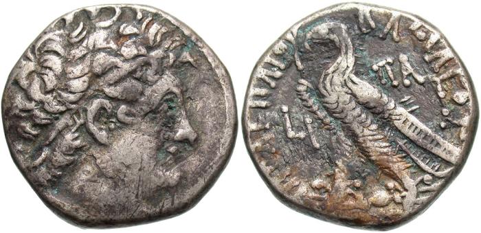 Which-Ptolemy-Tetradrachm-Would-You-Buy-I-Cant-Choose