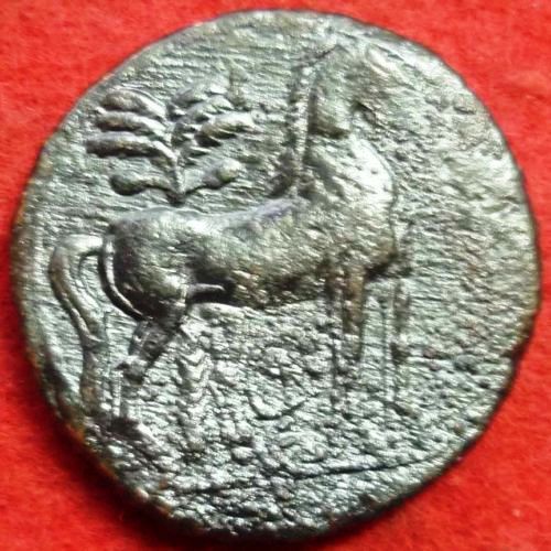 Budget-Carthage-Coin-Ae28