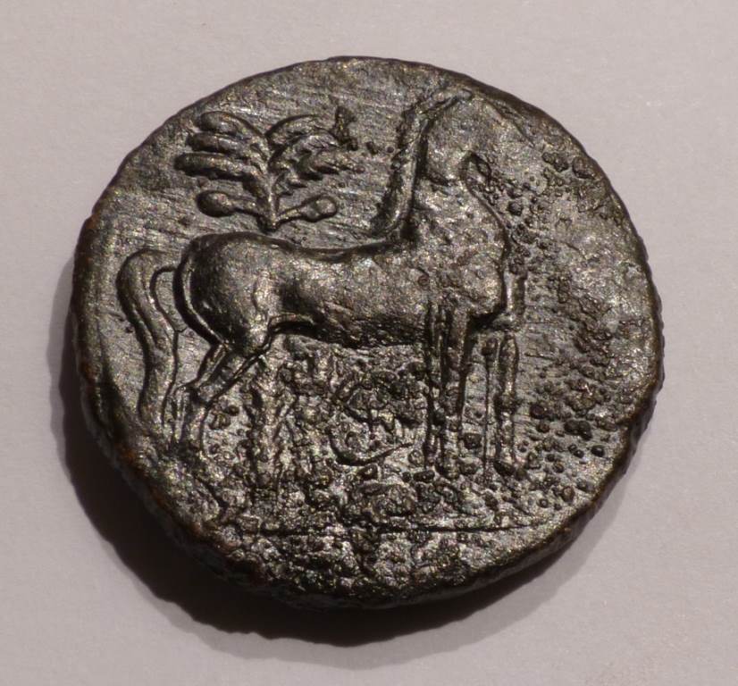 Budget-Carthage-Coin-Ae28