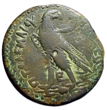 Show-Us-Your-Coins-Of-The-Successors-Of-Alexander-The-Great!