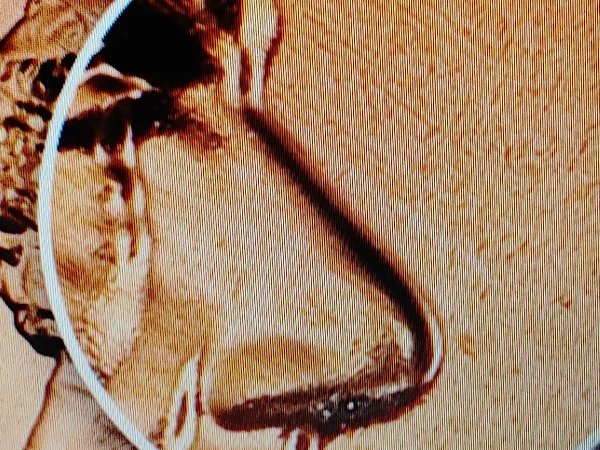 What-Is-Going-On-With-This-Penny?
