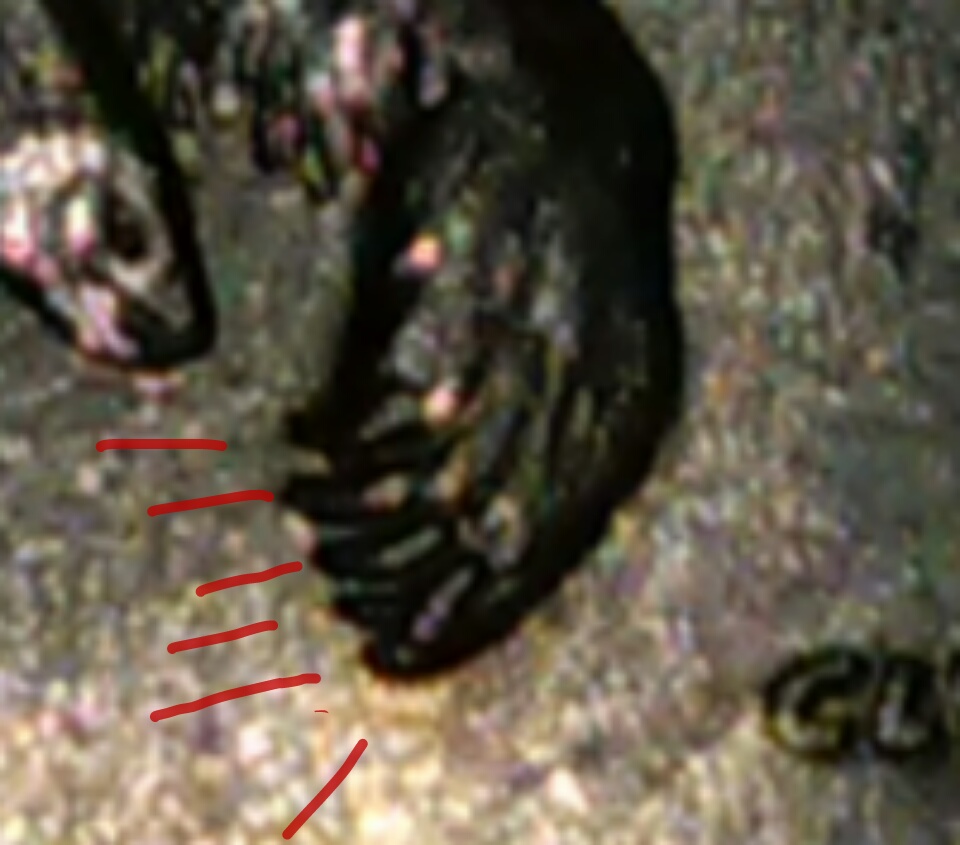 Alaska-Quarter-With-Extra-Toe.