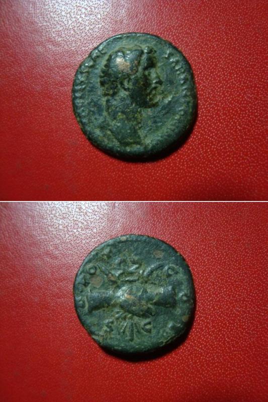 Roman-Coins-Help