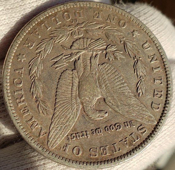 Couple-Morgan-Dollars-To-Check