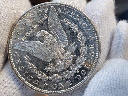 Couple-Morgan-Dollars-To-Check