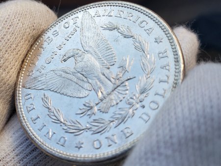 Couple-Morgan-Dollars-To-Check