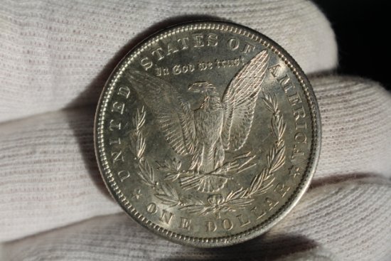 Couple-Morgan-Dollars-To-Check
