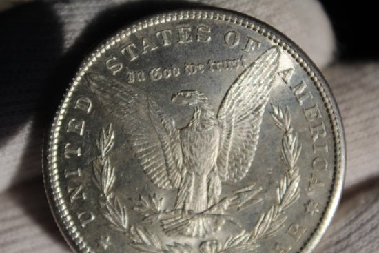 Couple-Morgan-Dollars-To-Check