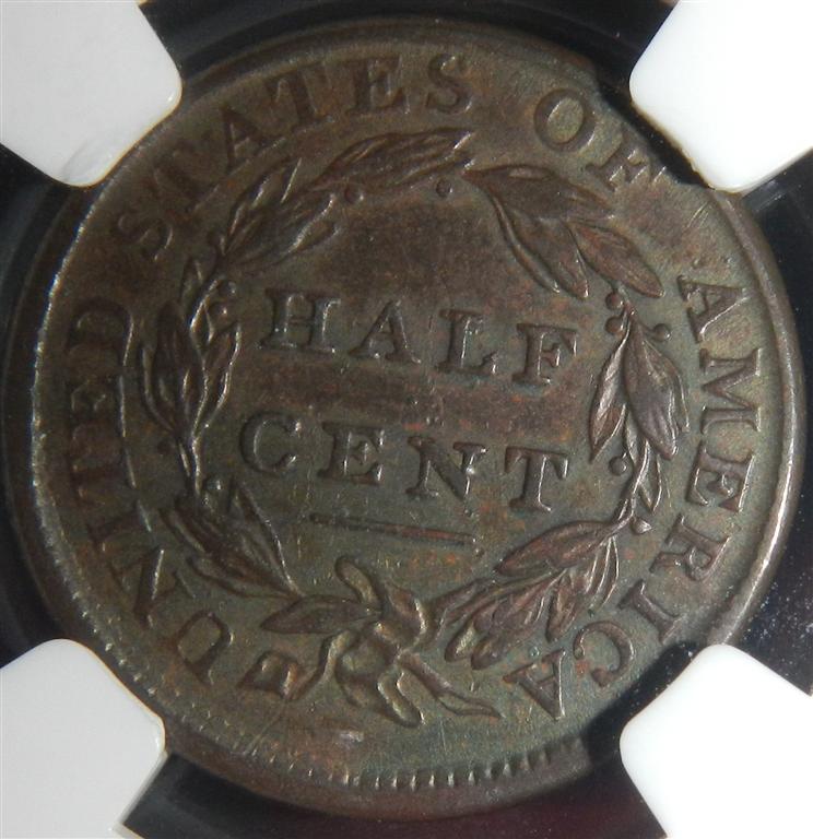 1809-Half-Cent---You-Vs-NGC-Grade-Posted
