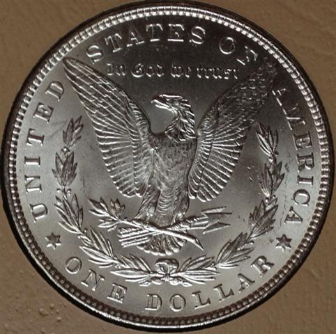 1882-Morgan-Raw
