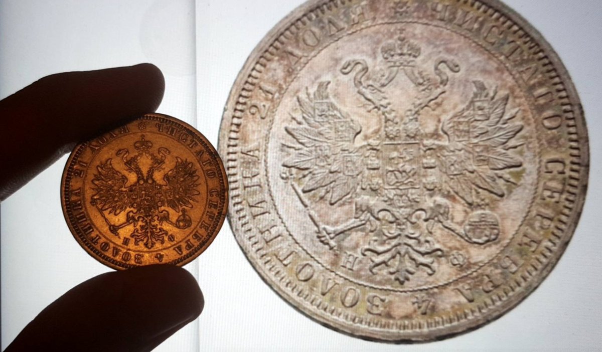 Information-About-A-1879-Ruble