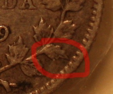 1909-Five-Cent,-Pointed-Or-Round-Leaves?