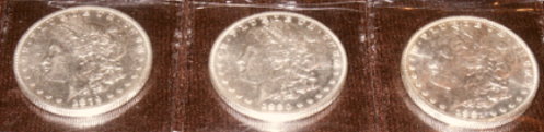 Virginia-City-Morgans