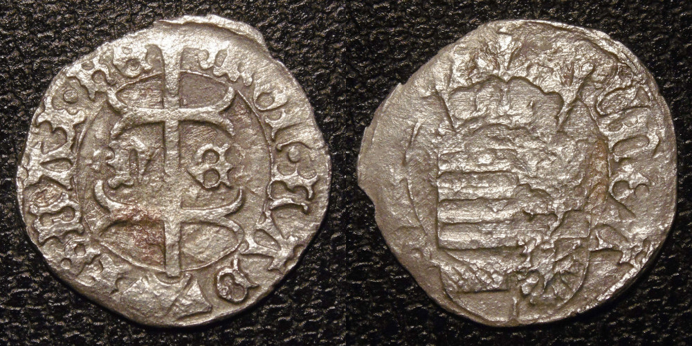 Hungarian-Denar-New-Purchases