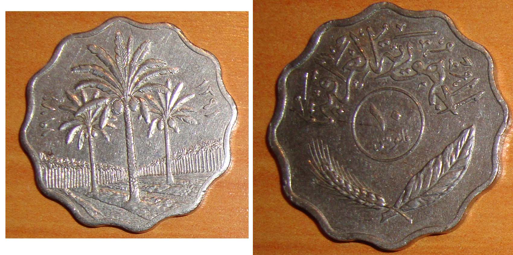Mysterious-Coins,-Please-Identify-If-You-Know