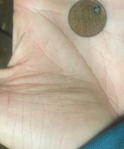 1972-D-Penny-180-Degree-Reverse-Rotation