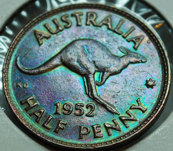 Share-Your-Coins-Here-: