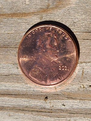 2021-Penny--Struck-Thru-Possibly?