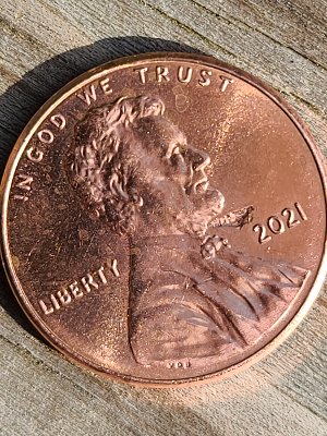 2021-Penny--Struck-Thru-Possibly?