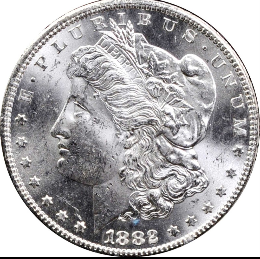 1882-CC-Morgan-Dollar-For-Grading-Please