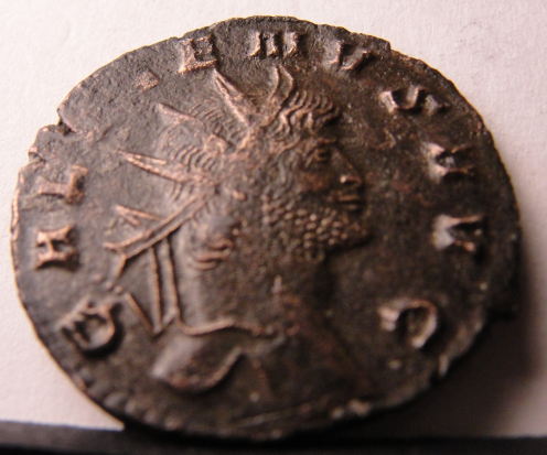 Gallienus'-Zoo