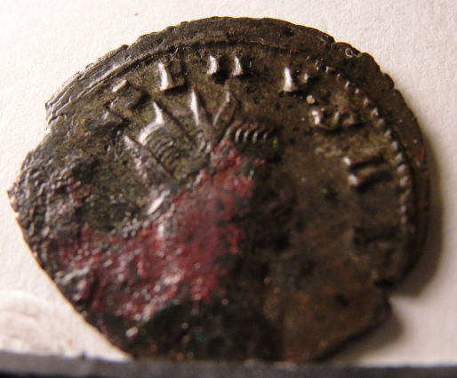 Gallienus'-Zoo