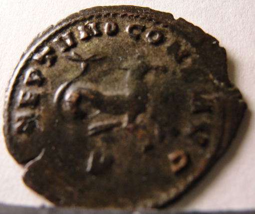 Gallienus'-Zoo